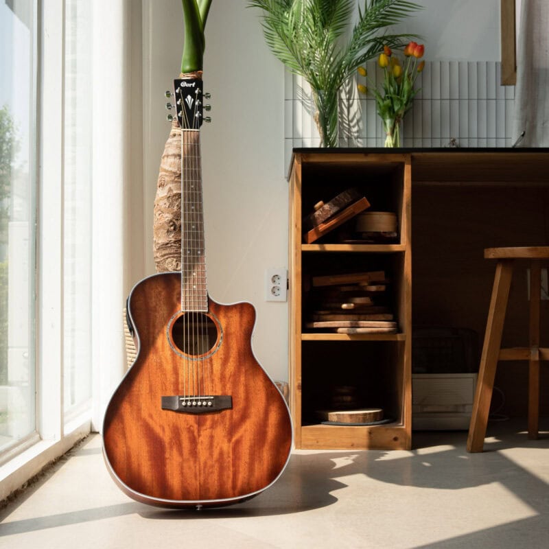 Harmonica with a small wooden desk and a wooden shelf behind, featuring a large window and potted plants, creating a cozy, natural music-themed space in Swords, Dublin.